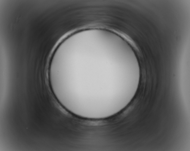 X0000083061288200703022125