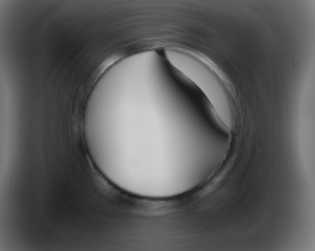 X0000083061289200703022125