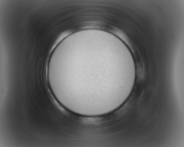 X0000083061290200703022125