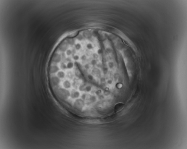 X0000083061291200703022125