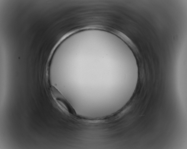 X0000083061292200703022125