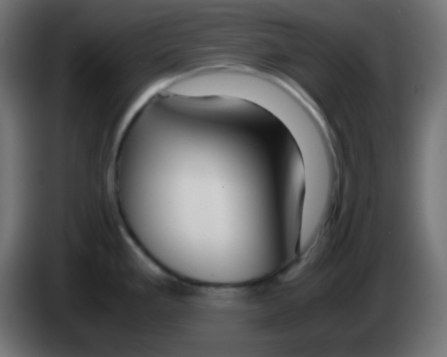 X0000083061293200703022125