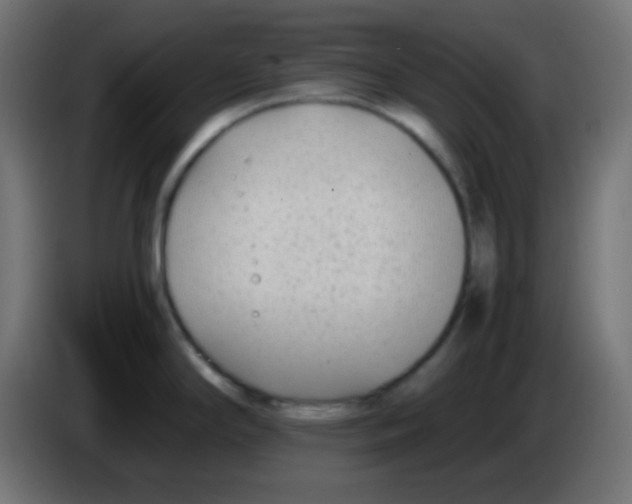 X0000083061294200703022125