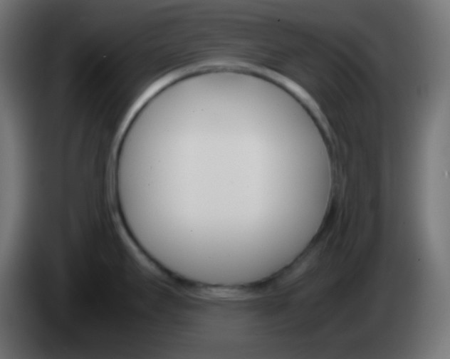 X0000083061295200703022125