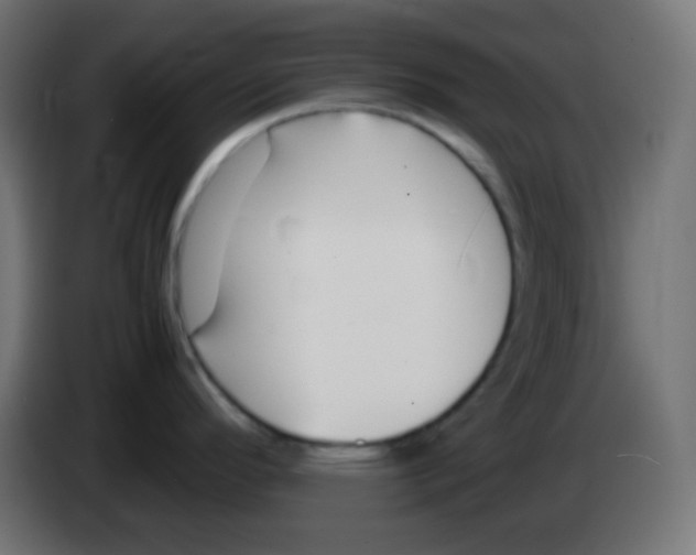 X0000083061296200703022125