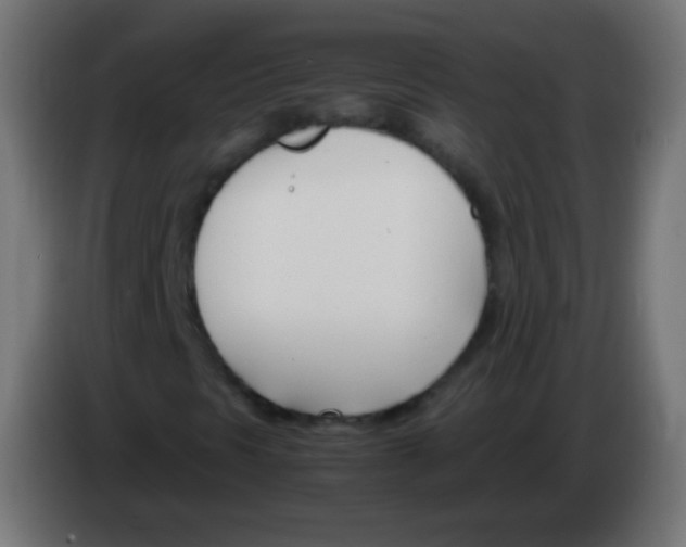 X0000083061297200703022124