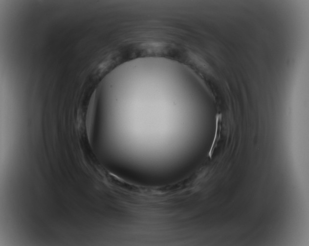 X0000083061298200703022124