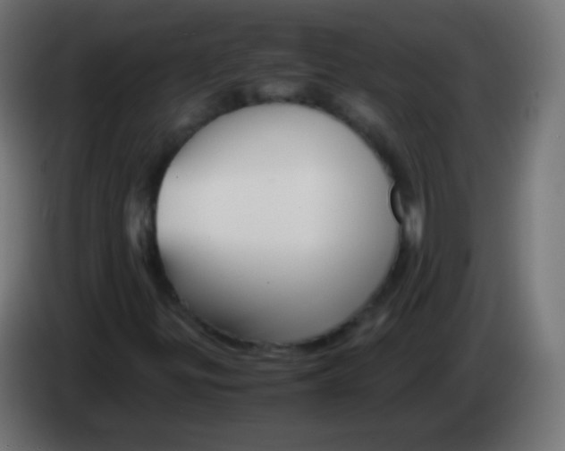 X0000083061299200703022124