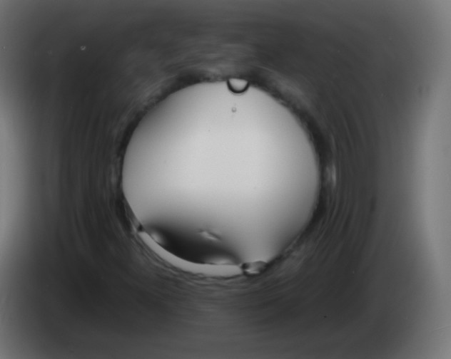 X0000083061300200703022124