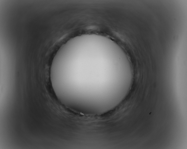 X0000083061301200703022124