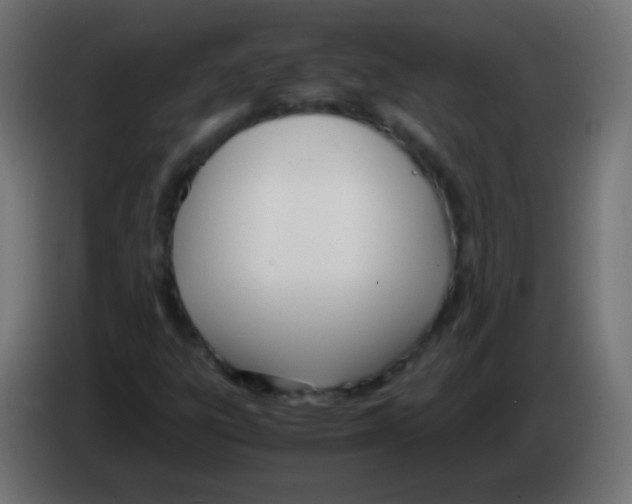 X0000083061303200703022124