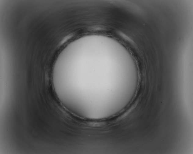 X0000083061305200703022124