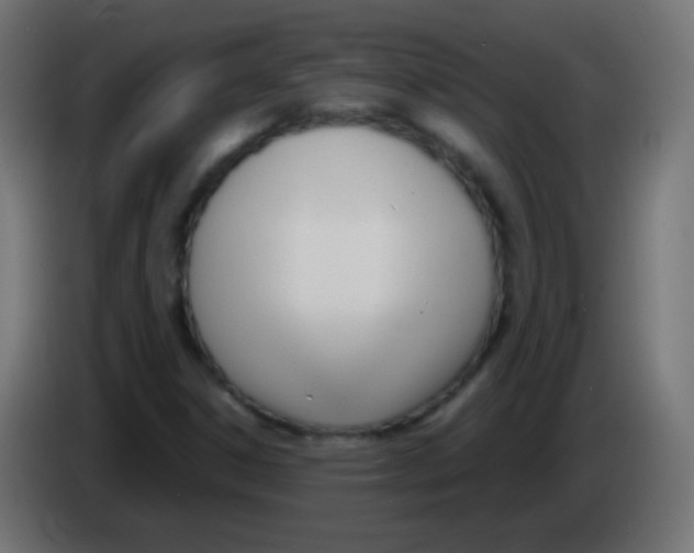 X0000083061306200703022124