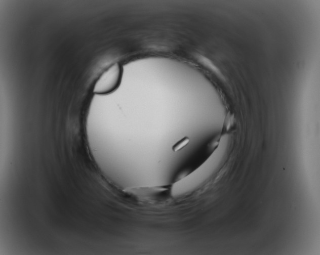 X0000083061307200703022124