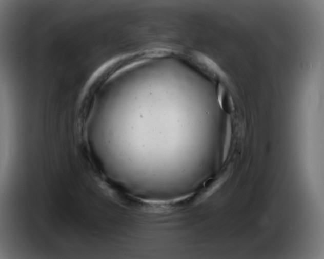 X0000083061310200703022124