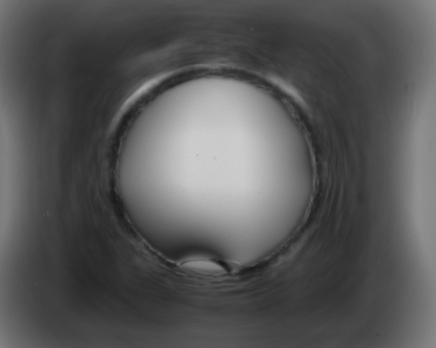 X0000083061311200703022124