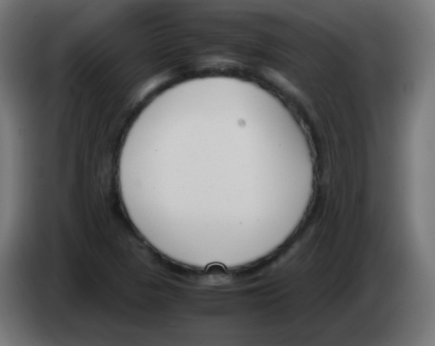 X0000083061313200703022124