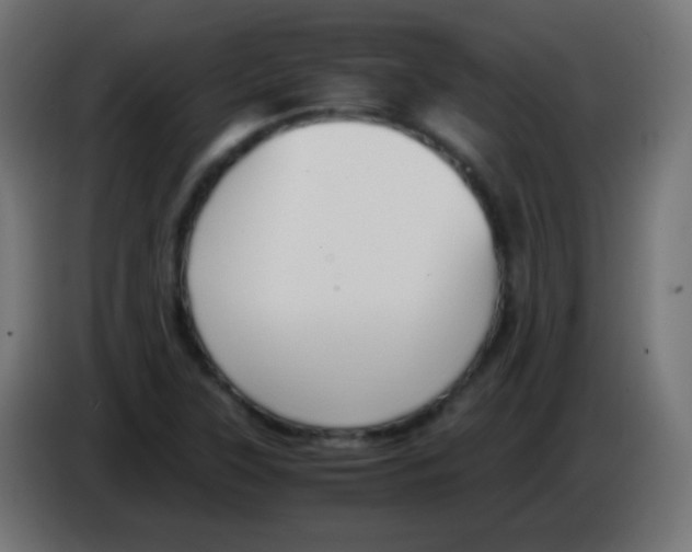 X0000083061315200703022124