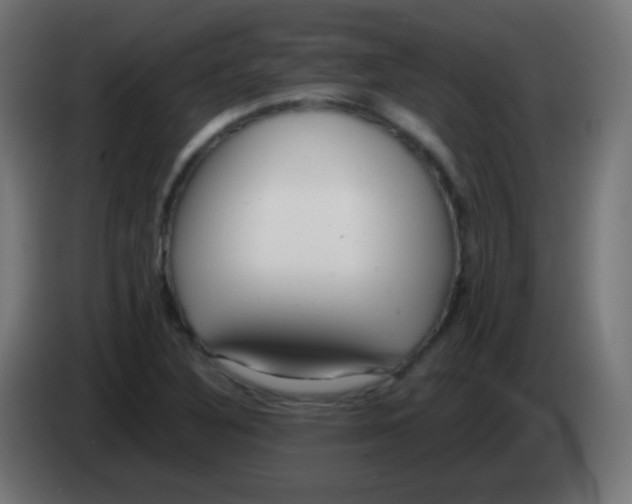 X0000083061316200703022124