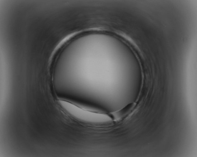 X0000083061319200703022124