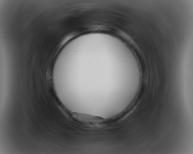 X0000083061321200703022124