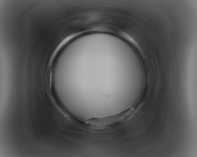 X0000083061323200703022124