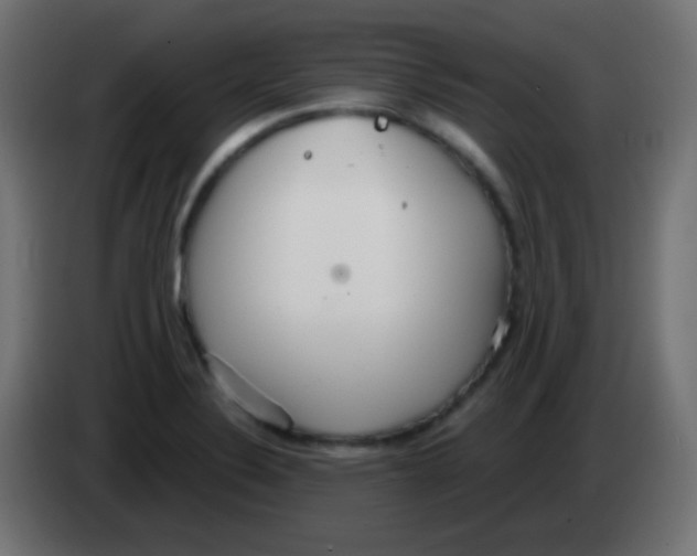 X0000083061324200703022125