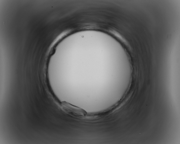 X0000083061325200703022125