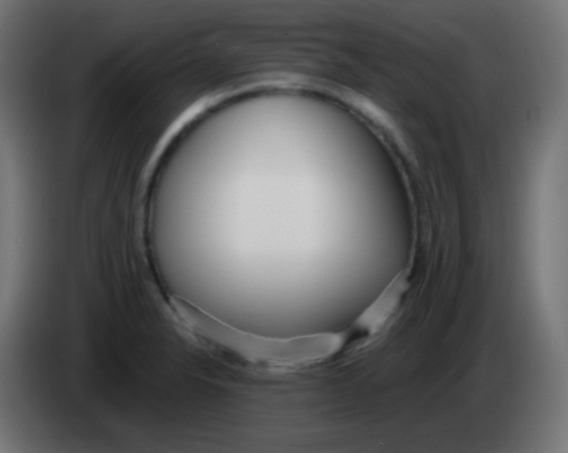 X0000083061326200703022125