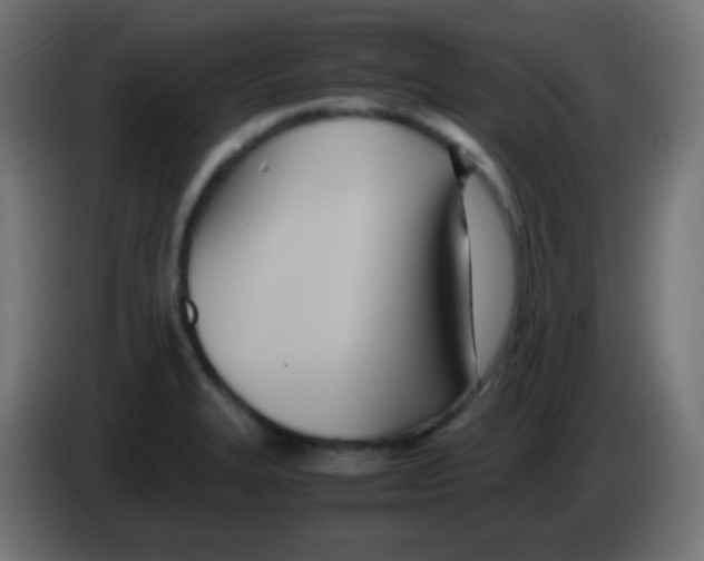 X0000083061327200703022125