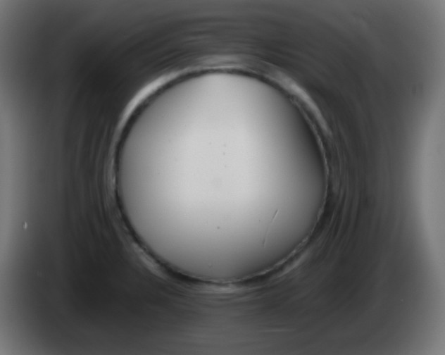 X0000083061328200703022125