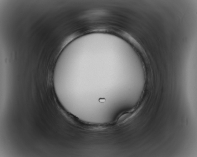 X0000083061329200703022125