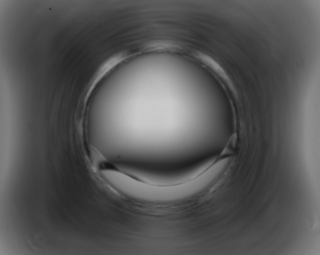 X0000083061330200703022125