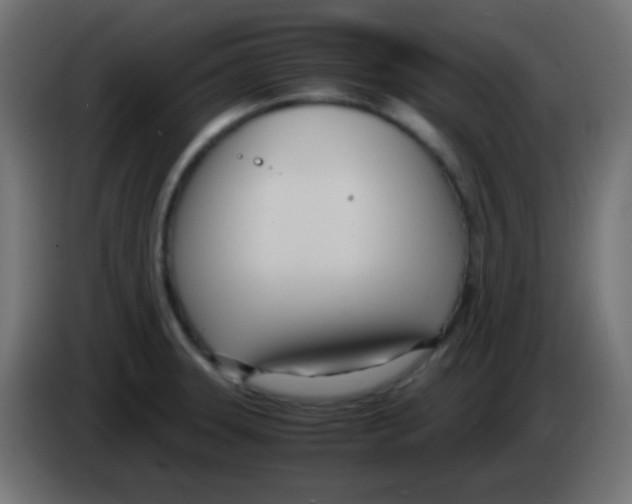 X0000083061331200703022125