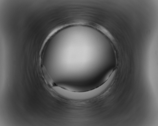 X0000083061332200703022125