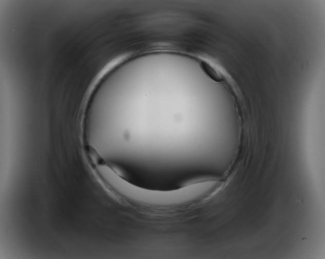 X0000083061333200703022125