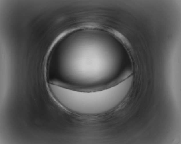 X0000083061334200703022125