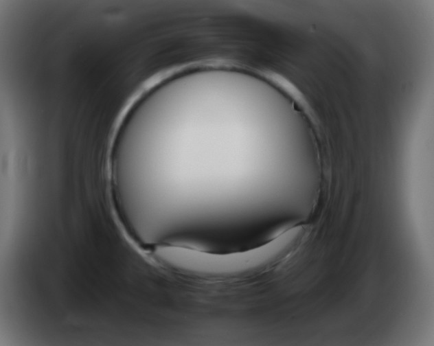 X0000083061335200703022125