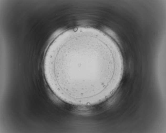 X0000083061338200703022125