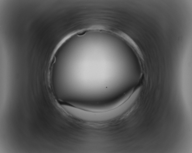 X0000083061340200703022125