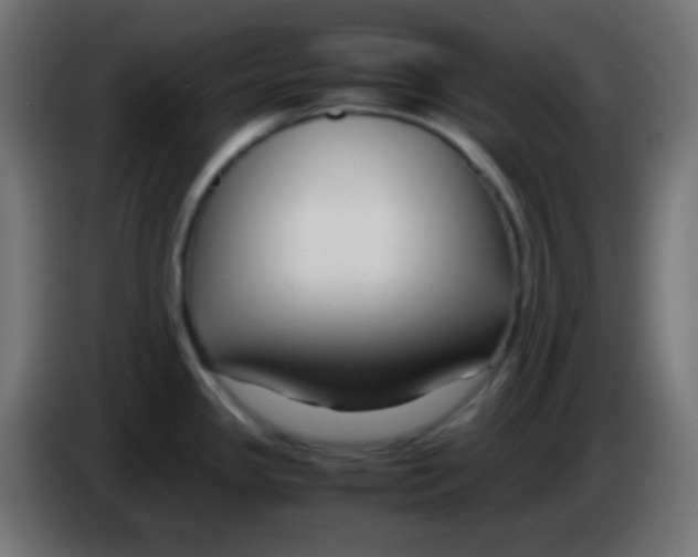 X0000083061341200703022125