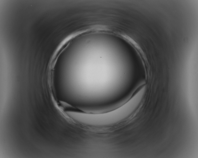 X0000083061342200703022125