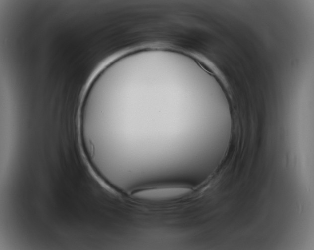 X0000083061343200703022125