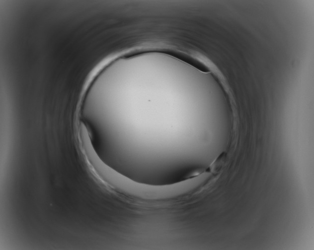 X0000083061344200703022125