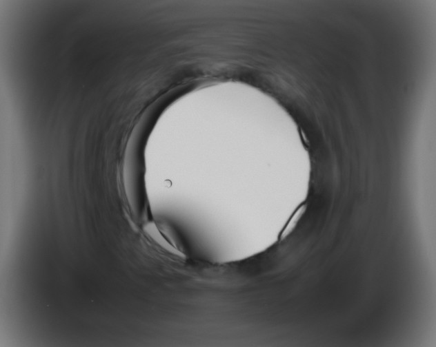 X0000083061345200703022124