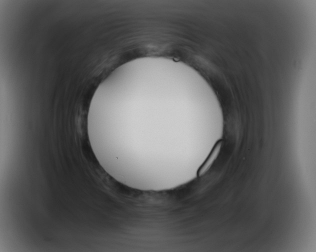 X0000083061346200703022124