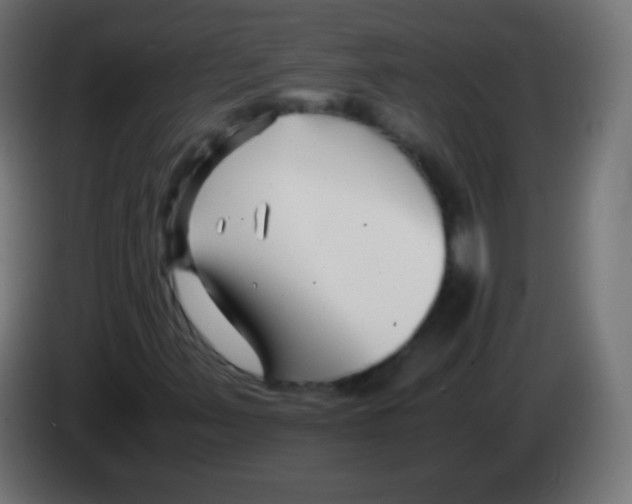 X0000083061347200703022124