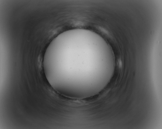 X0000083061348200703022124