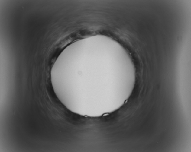 X0000083061349200703022124