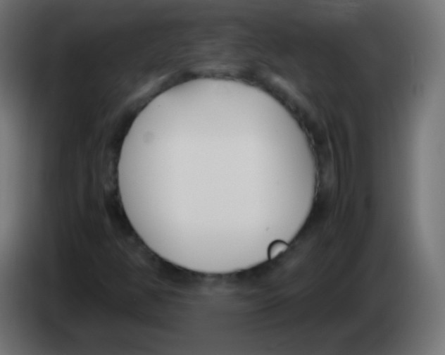 X0000083061350200703022124